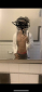 Profile picture for user kavon_fuckgood
